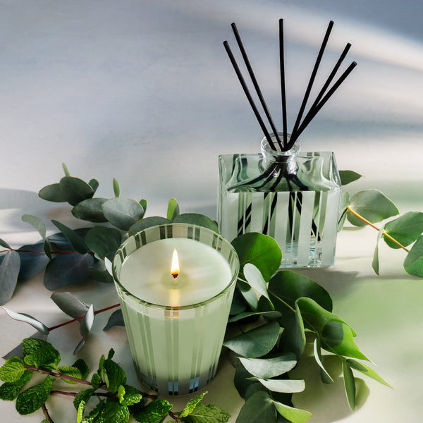 wild mint eucalyptus tea and candle set 2