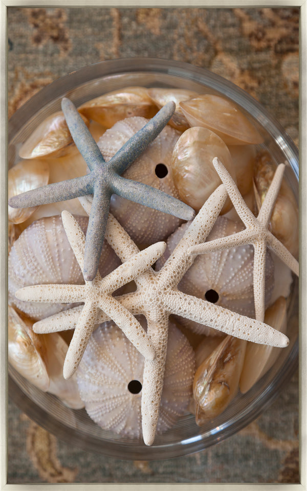 Layered Starfish