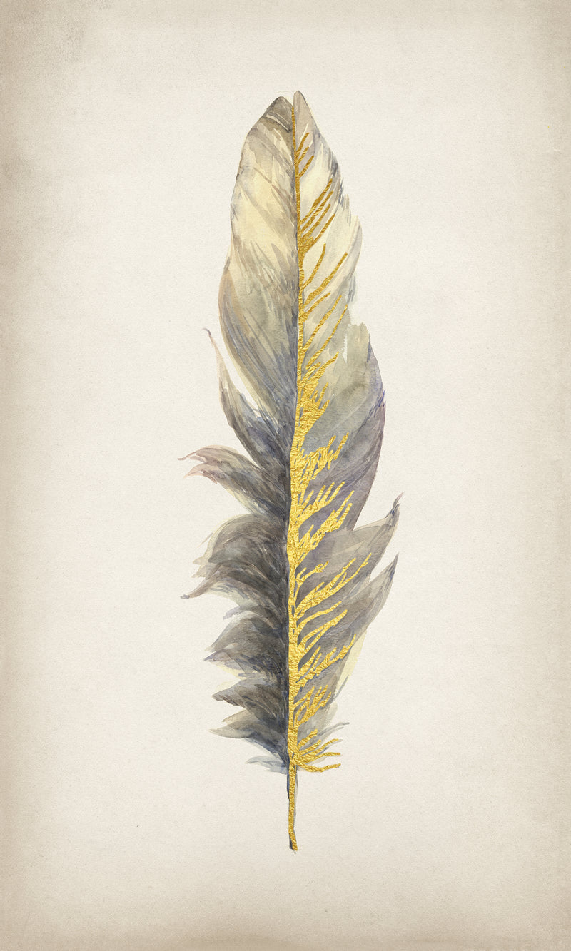 Beautiful Gold Feathers Sorted by Color and Displayed Beautifully Lit Up  Low · Creative Fabrica