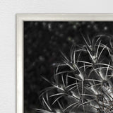 Vintage Succulent II by shopbarclaybutera