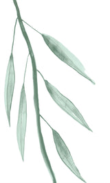 Eucalyptus VIII by shopbarclaybutera
