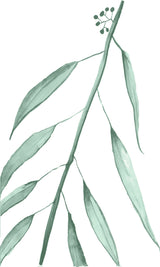 Eucalyptus XII by shopbarclaybutera