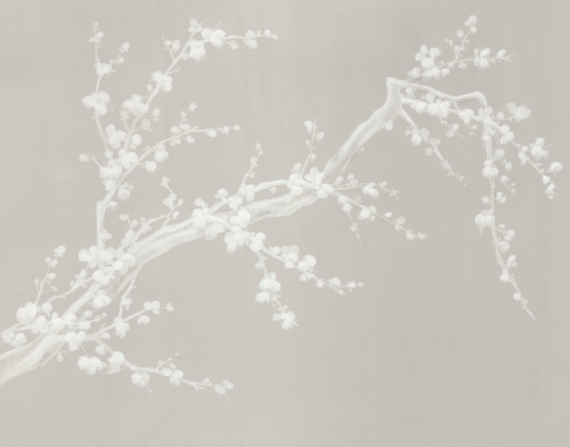 Cherry Blossom Walkway VII
