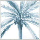 Palm Palms I
