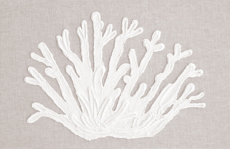 Corals V