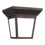 Lavon Outdoor One Light Outdoor Ceiling 1