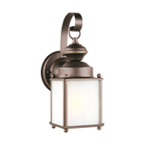 Jamestowne Outdoor One Light Lantern 1