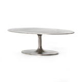 Simone Oval Coffee Table in Various Colors Flatshot Image 1