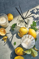 amalfi lemon mint classic candle 4