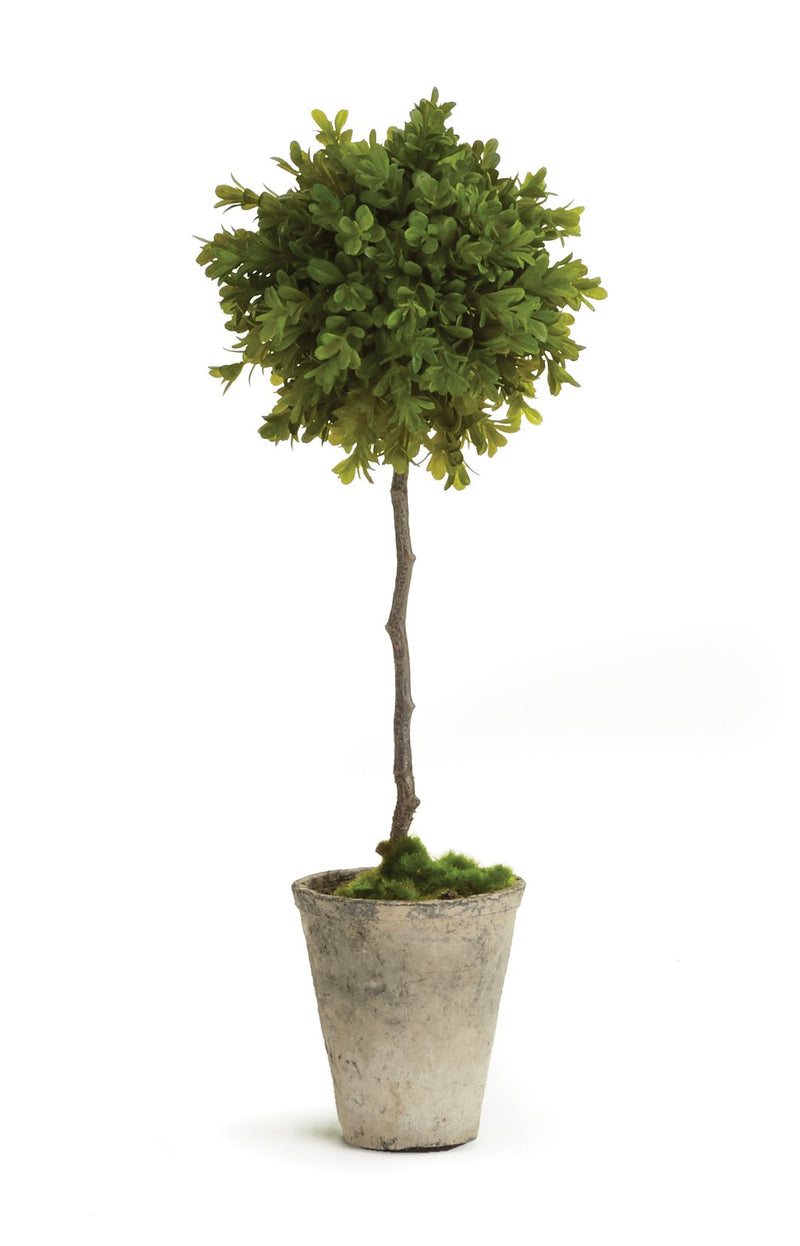Faux Boxwood Topiary Potted design by shopbarclaybutera