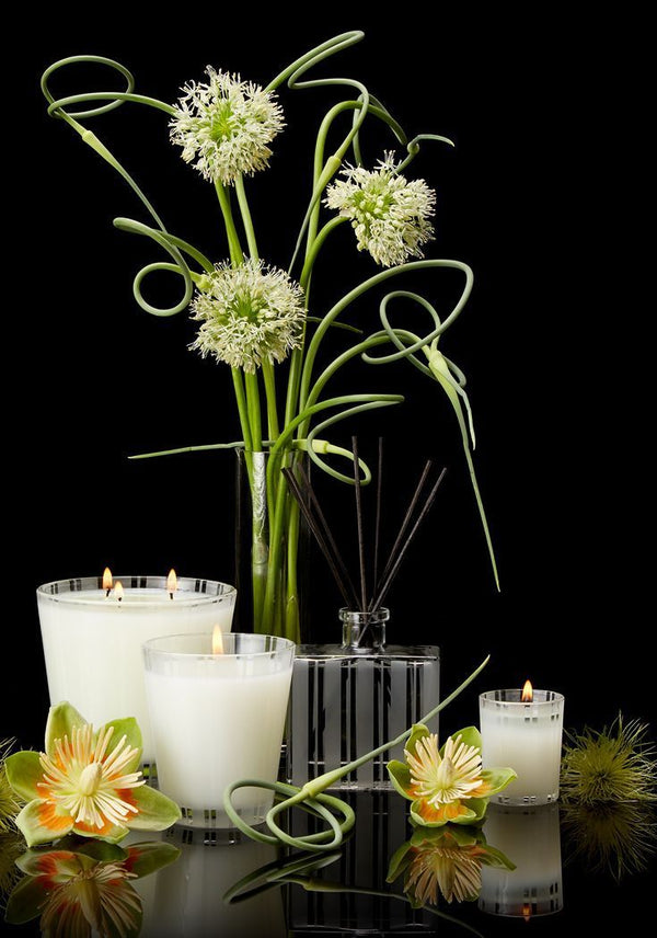 lemongrass ginger 3 wick candle design by nest fragrances 2