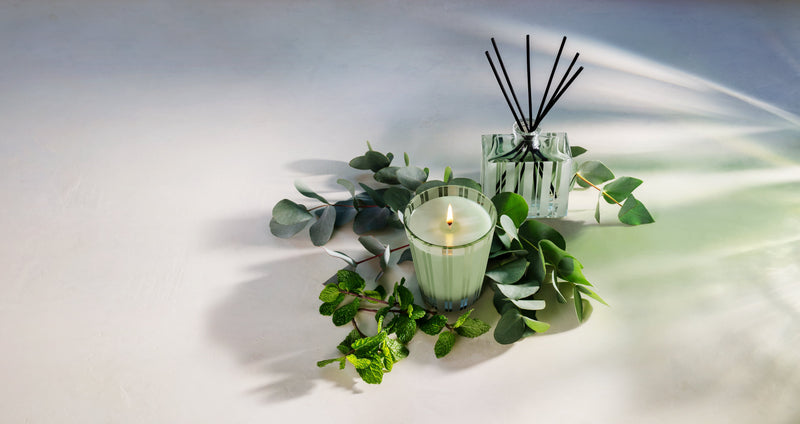 wild mint eucalyptus classic candle 4