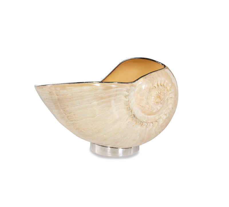 Benitra Shell Bowl Natural Shell and Medium Beige Flatshot Image 1