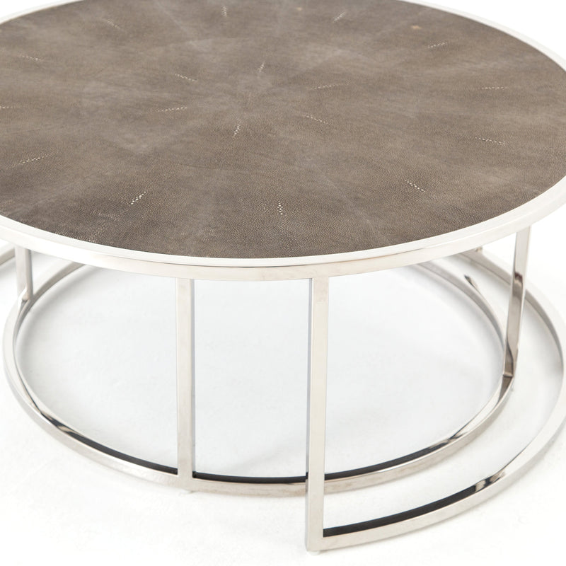 Shagreen Nesting Coffee Table in Stainless by BD Studio
