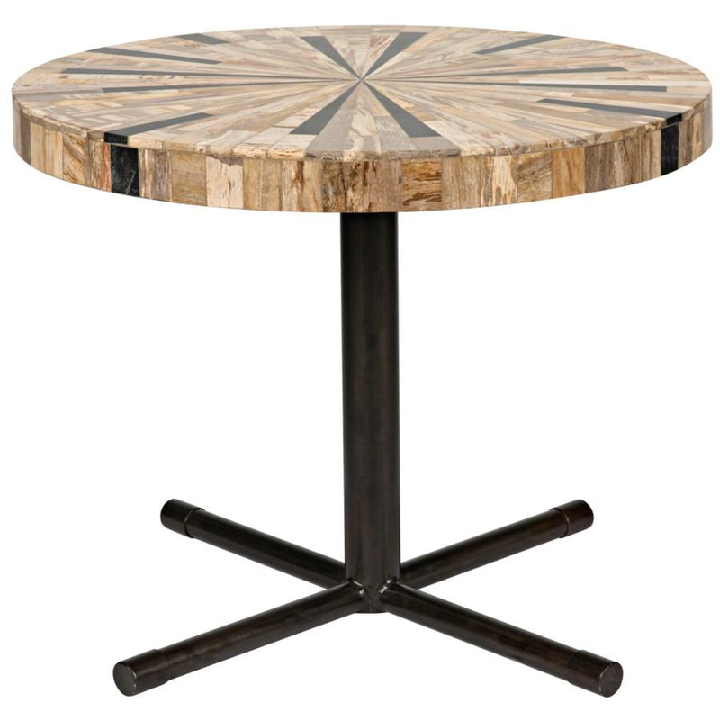 Shield Coffee Table in Petrified Wood with Metal