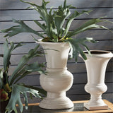 Conservatory Vase