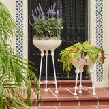 Tamsy Cast Stone Planter in Various Sizes